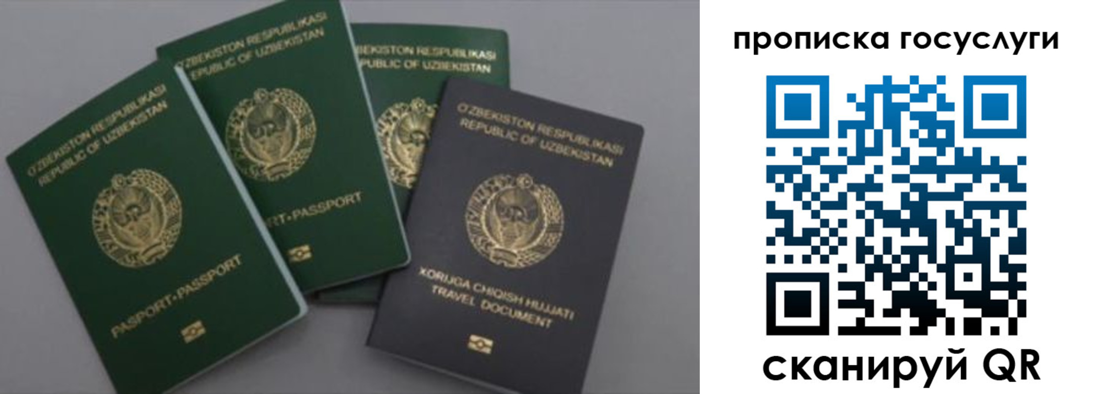 прописка гарантия в Каспийске
